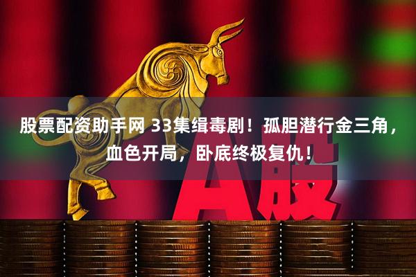 股票配资助手网 33集缉毒剧！孤胆潜行金三角，血色开局，卧底终极复仇！