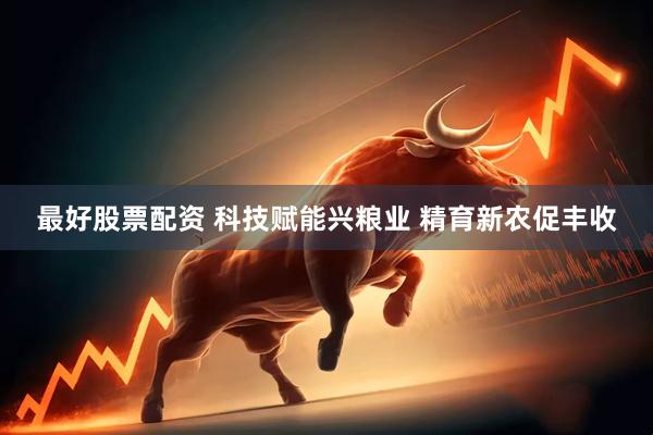 最好股票配资 科技赋能兴粮业 精育新农促丰收